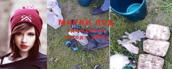 ГАЛЛЮЦИНОГЕННЫЕ ГРИБЫ Балахна