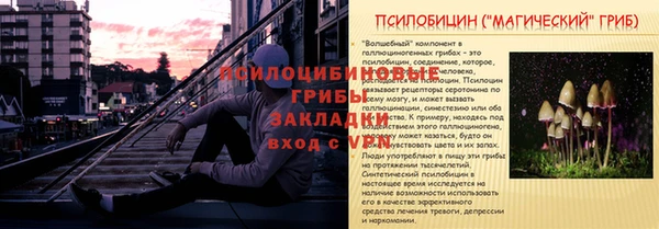 a pvp Аркадак